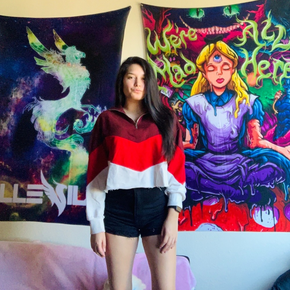 Asymmetrical Ombré Crop Sweater NWOT